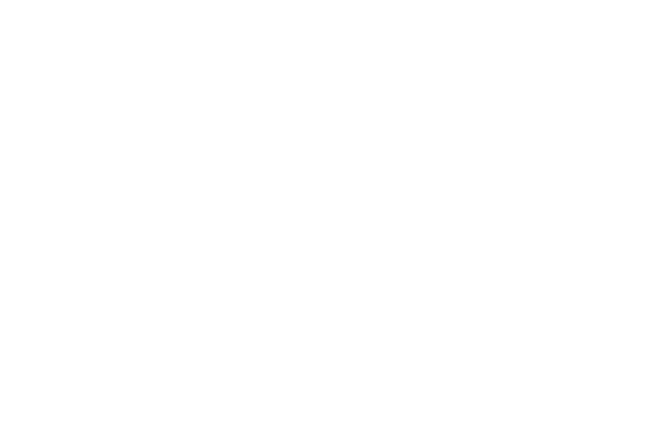 Milionefiero Logótipo Footer